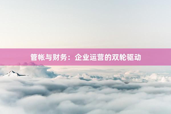 管帐与财务：企业运营的双轮驱动